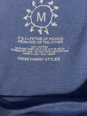 HARRY STYLES KISS ALL THE TIME. DISCO, OCCASIONALLY BABY TEE